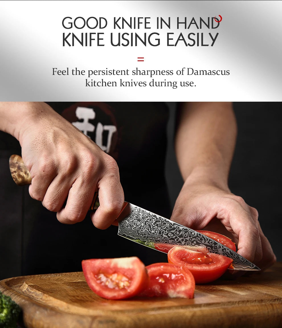 HEZHEN 5 inch Utility Knife Real 67 Layer Damascus Super Steel Super Cook Knife Pretty Peeling Knife Super Sharp Kitchen Knife