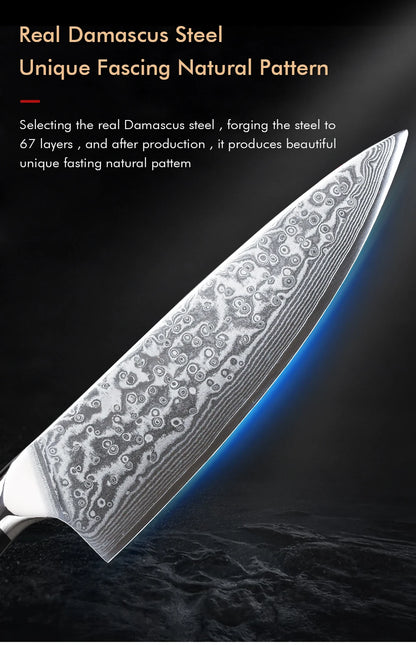 F.YOUNG 8 Inch Professional Chef's Knives Japanese 67 Layer Damascus Steel VG10 Core Super Sharp Meat Vegetable Kitchen Knife