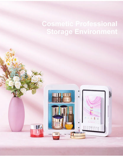 4L Mini Makeup Fridge WIth LED Light Mirror Portable Cosmetic Storage Refrigerator Keep fresh Cooler for Home Car Dual Use