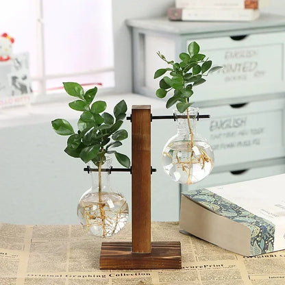 Hydroponic Plant Terrarium Vasevase Decoration Home Glass Bottle Hydroponic Desktop Decoration Office Green Plant Small Potted