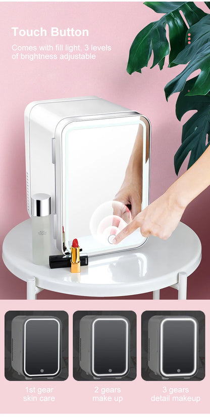 4L Mini Makeup Fridge WIth LED Light Mirror Portable Cosmetic Storage Refrigerator Keep fresh Cooler for Home Car Dual Use