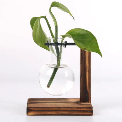 Hydroponic Plant Terrarium Vasevase Decoration Home Glass Bottle Hydroponic Desktop Decoration Office Green Plant Small Potted