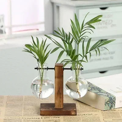 Hydroponic Plant Terrarium Vasevase Decoration Home Glass Bottle Hydroponic Desktop Decoration Office Green Plant Small Potted